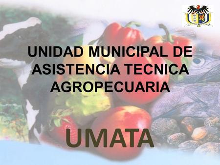 UNIDAD MUNICIPAL DE ASISTENCIA TECNICA AGROPECUARIA UMATA.