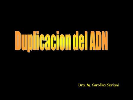 Duplicacion del ADN Dra. M. Carolina Ceriani.