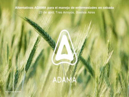 Alternativas ADAMA para el manejo de enfermedades en cebada