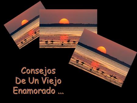 Consejos De Un Viejo Enamorado... Consejos De Un Viejo Enamorado...