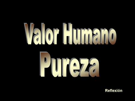 Reflexión “Todos son nuestros compañeros de viaje…