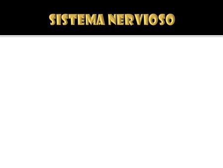 SISTEMA NERVIOSO.