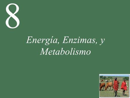 Energía, Enzimas, y Metabolismo