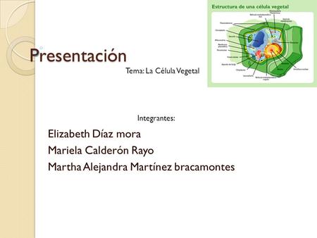 Presentación Elizabeth Díaz mora Mariela Calderón Rayo