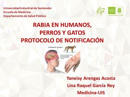 RABIA EN HUMANOS, PERROS Y GATOS PROTOCOLO DE NOTIFICACIÓN
