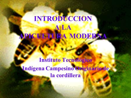 INTRODUCCION A LA APICULTURA MODERNA