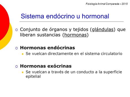 Sistema endócrino u hormonal