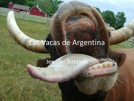 Las Vacas de Argentina Jennifer Bickham.