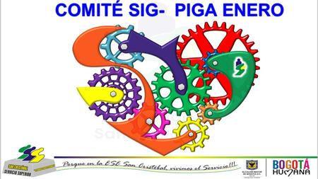 COMITÉ SIG- PIGA ENERO.