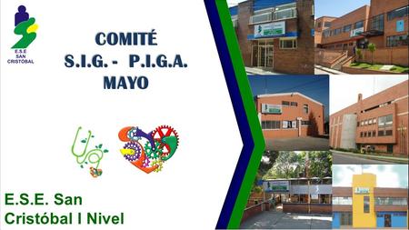 COMITÉ S.I.G. - P.I.G.A. MAYO E.S.E. San Cristóbal I Nivel.