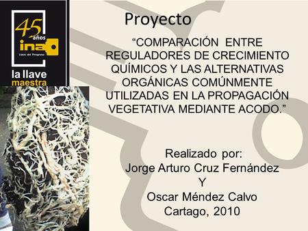 Proyecto “COMPARACIÓN ENTRE REGULADORES DE CRECIMIENTO QUÍMICOS Y LAS ALTERNATIVAS ORGÁNICAS COMÚNMENTE UTILIZADAS EN LA PROPAGACIÓN VEGETATIVA MEDIANTE.