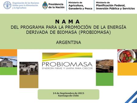 NAMA DEL PROGRAMA PARA LA PROMOCIÓN DE LA ENERGÍA DERIVADA DE BIOMASA (PROBIOMASA) ARGENTINA 14 de Septiembre de 2015 Santiago de Chile.