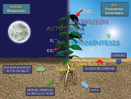 Por Julen, Edwin y Eduardo  Es un proceso en el que las plantas fabrican materia orgánica utilizando la energía procedente de la luz solar.  Los encargados.