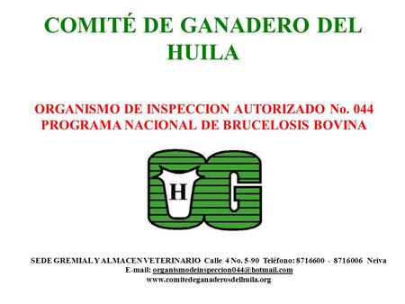 COMITÉ DE GANADERO DEL HUILA