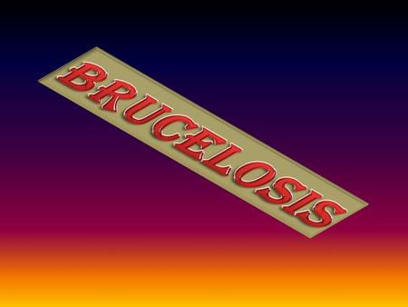 BRUCELOSIS.