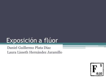 Daniel Guillermo Plata Díaz Laura Lisseth Hernández Jaramillo