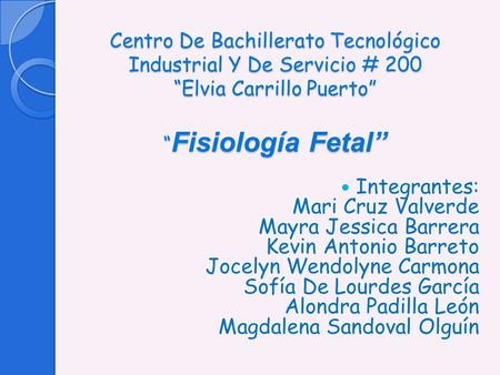 Centro De Bachillerato Tecnológico Industrial Y De Servicio # 200 “Elvia Carrillo Puerto” “Fisiología Fetal” Integrantes: Mari Cruz Valverde Mayra.