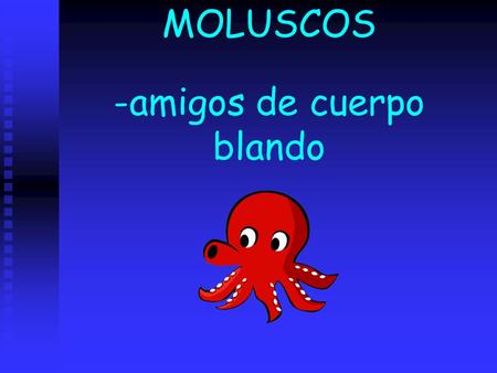 MOLUSCOS -amigos de cuerpo blando