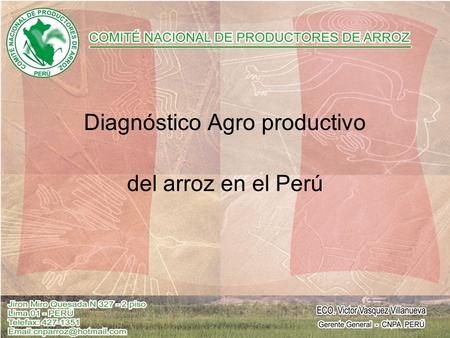Diagnóstico Agro productivo del arroz en el Perú