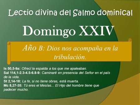 Lectio divina del Salmo dominical