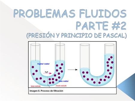 PROBLEMAS FLUIDOS PARTE #2 (PRESIÓN Y PRINCIPIO DE PASCAL)