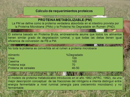 El sistema basado en Proteína Bruta, erróneamente asume que todos los alimentos tienen similar grado de degradación ruminal, y que todas las dietas tienen.