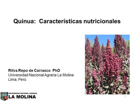 Quinua: Características nutricionales