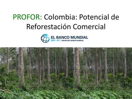 PROFOR: Colombia: Potencial de Reforestación Comercial.