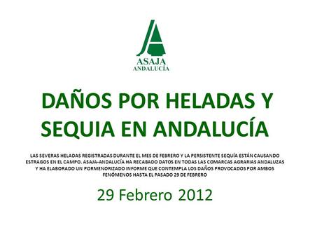 DAÑOS POR HELADAS Y SEQUIA EN ANDALUCÍA LAS SEVERAS HELADAS REGISTRADAS DURANTE EL MES DE FEBRERO Y LA PERSISTENTE SEQUÍA ESTÁN CAUSANDO ESTRAGOS EN EL.