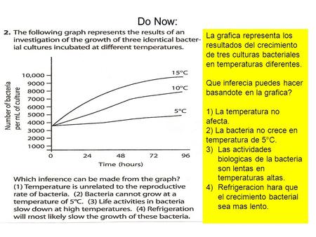 Do Now: La grafica representa los resultados del crecimiento de tres culturas bacteriales en temperaturas diferentes. Que inferecia puedes hacer basandote.