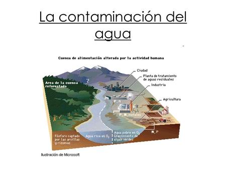 La contaminación del agua