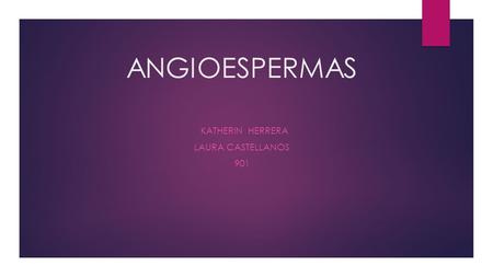 KATHERIN HERRERA LAURA CASTELLANOS 901
