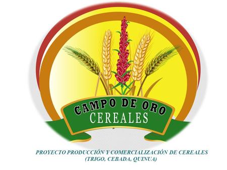   MISION   VISION . CAMPO DE ORO CEREALES, es el espacio organizacional que genera oportunidad de desarrollo integral para la comunidad y contribuye al.