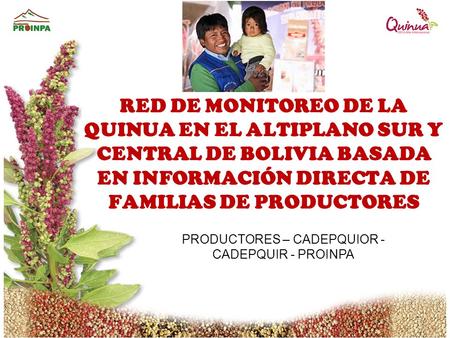 PRODUCTORES – CADEPQUIOR - CADEPQUIR - PROINPA