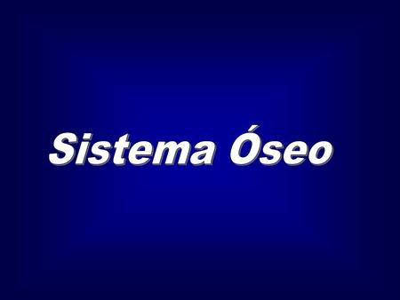 Sistema Óseo.