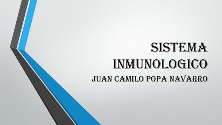Juan Camilo Popa Navarro