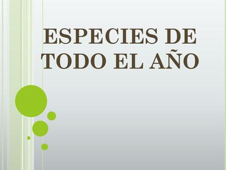 ESPECIES DE TODO EL AÑO.