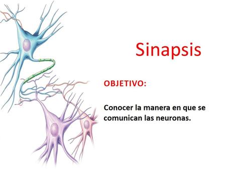 Tipos de comunicación de membrana