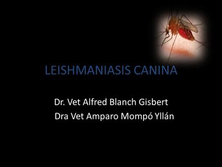 LEISHMANIASIS CANINA Dr. Vet Alfred Blanch Gisbert Dra Vet Amparo Mompó Yllán.