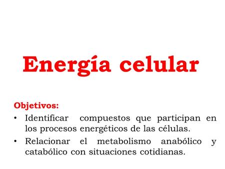 Energía celular Objetivos:
