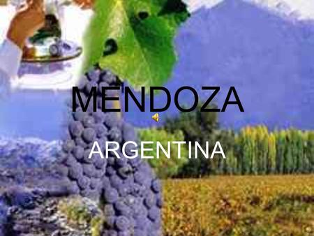 MENDOZA ARGENTINA.