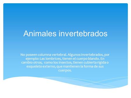 Animales invertebrados
