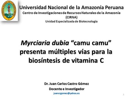 Myrciaria dubia “camu camu” presenta múltiples vías para la biosíntesis de vitamina C Dr. Juan Carlos Castro Gómez Docente e Investigador