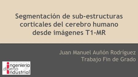 Segmentación de sub-estructuras corticales del cerebro humano desde imágenes T1-MR Juan Manuel Auñón Rodríguez Trabajo Fin de Grado.