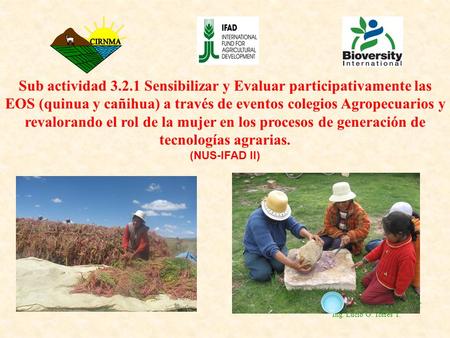 Sub actividad 3.2.1 Sensibilizar y Evaluar participativamente las EOS (quinua y cañihua) a través de eventos colegios Agropecuarios y revalorando el rol.