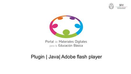 Plugin | Java| Adobe flash player. Es un complemento que se relaciona con otra para aportarle una función nueva y generalmente muy específica. ¿Qué es.