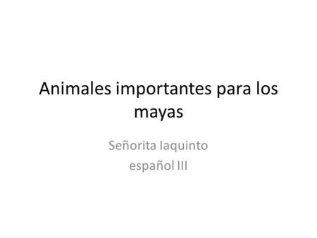 Animales importantes para los mayas