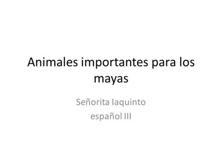 Animales importantes para los mayas