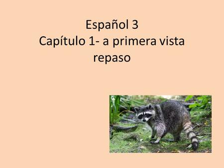 Español 3 Capítulo 1- a primera vista repaso. Objective: Students indentify vocabulary Chapter 1 terms represented by images.