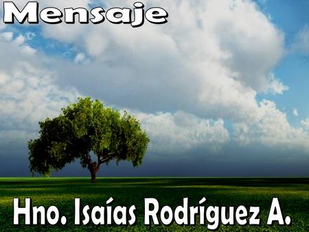 U N H OMENAJE A L AS M ADRES U N H OMENAJE A L AS M ADRES.